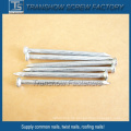 2,9 mm Twisted Shank Concrete Nails